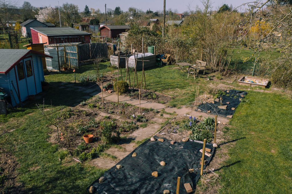 März 2020 - Aus dem Garten