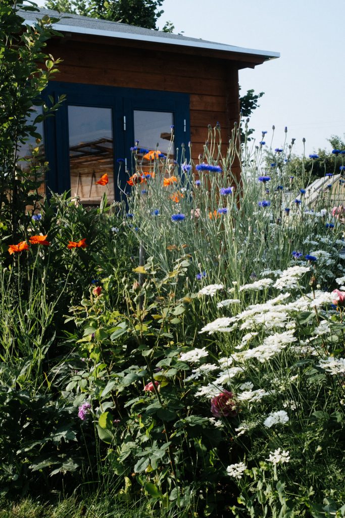 Gartenhaus mit Kornblumen und Mohn